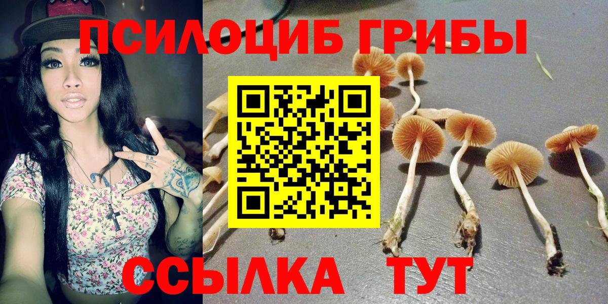 Псилоцибиновые грибы мухоморы Назарово
